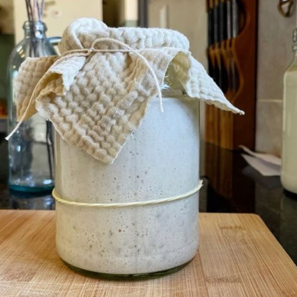 DEHYDRATED ACTIVE ORGANIC SOURDOUGH STARTER